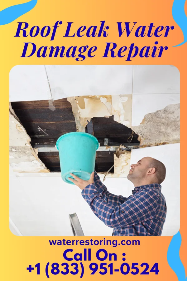 Roof Leak Water Damage Repair in Lone Elm, KS